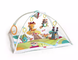 Tiny Love Activity Gym Play Mat