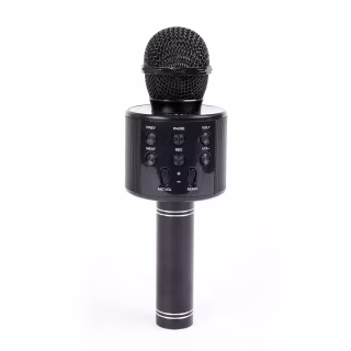 Nifty Karaoke Microphone