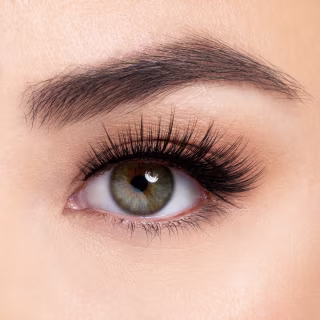 SEPHORA COLLECTION House of Lashes x Sephora Collection False Lash