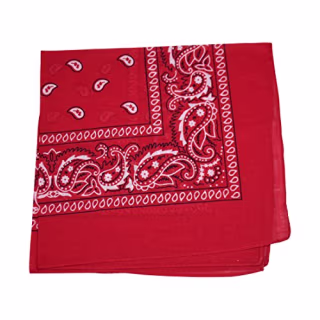 Paisley Bandana