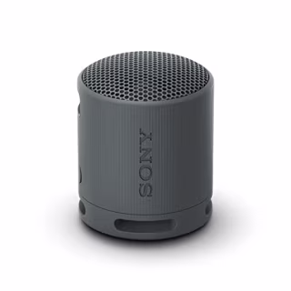 Sony SRS-XB100 Portable Bluetooth Speaker