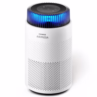 Coway Airmega 100