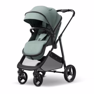 2-in-1 Convertible Baby Stroller