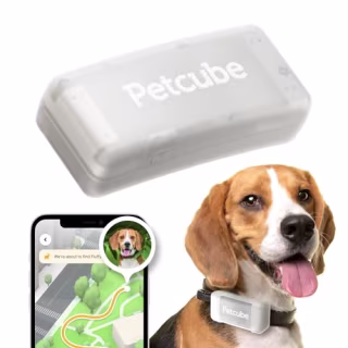 Petcube GPS Tracker