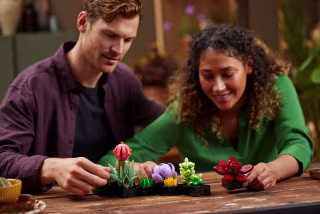 Lego Succulents