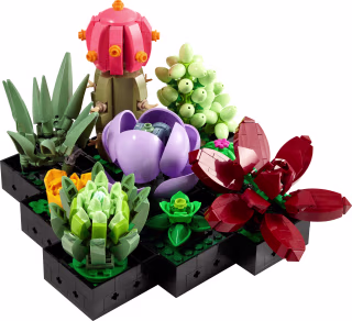 Succulent Set