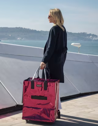 Reusable Grocery Bag On Wheels