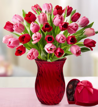 1-800-Flowers Sweetest Love Tulips