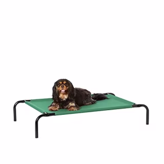 Amazon Basics Cooling Elevated Dog Bed