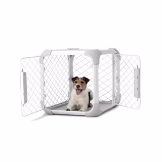 Diggs Evolv Dog Crate