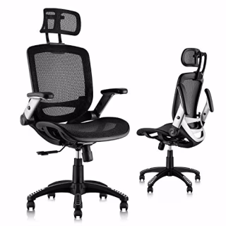 Gabrylly Ergonomic Mesh Office Chair