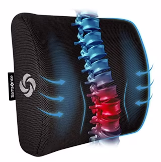 Samsonite Lumbar Support Pillow