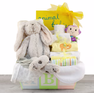 Welcome Home Baby Medium Gift Basket