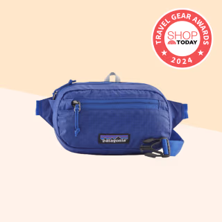 Patagonia Ultralight Black Hole Mini Hip Pack (1L)