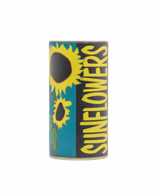 The Jonsteen Company Seed Grow Kits