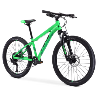 Fuji Dynamite 24 Pro Disc