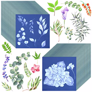 Eersida Paper Sun Print Paper Kit