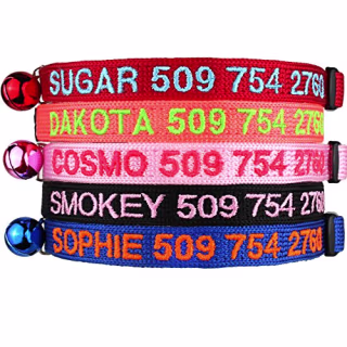 GoTags Personalized Cat Collar with Breakaway Clasp