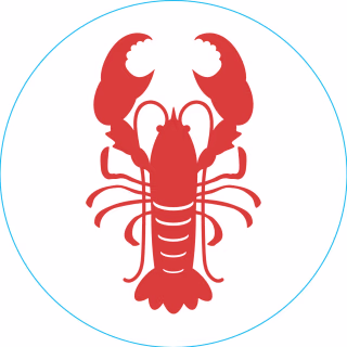 Bit Lobster