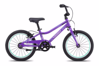 Guardian 16 Inch Bike