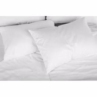 Down Alternative Medium Pillow (Set of 2)