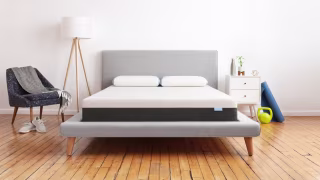 Bear Pro Hybrid Mattress