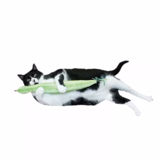 Imperial Cat Slither ‘N Snake Catnip Cat Toy