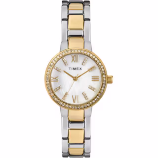 Two-Tone 30mm Watch