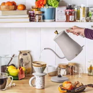 1-Liter Electric Gooseneck Kettle