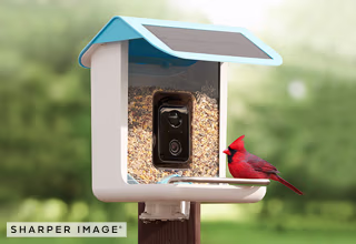 SharperImage.com Video Camera Bird Feeder