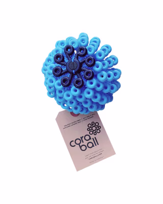 Cora Ball