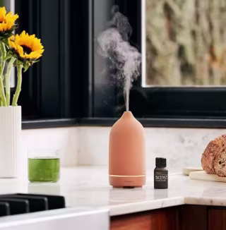 Vitruvi stone diffuser on a countertop.