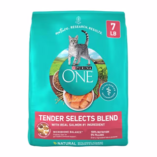 Purina One Real Salmon Natural Dry Cat Food