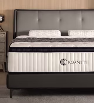 Queen Mattress