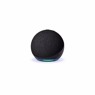 Amazon Echo Dot