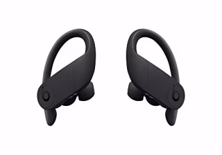 Beats Powerbeats Pro Wireless Earbuds 