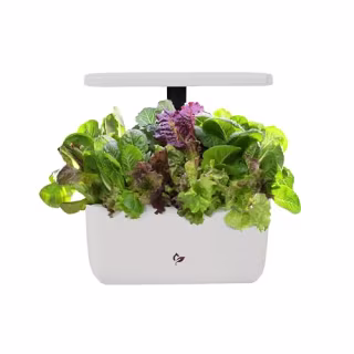 AeroGarden Harvest 2.0