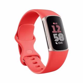 Fitbit Charge 6 Fitness Tracker