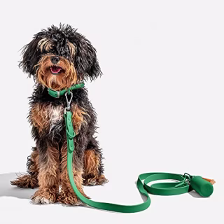 Wild One Leash