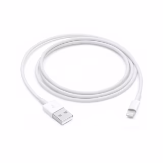 Apple Lightning to USB Cable