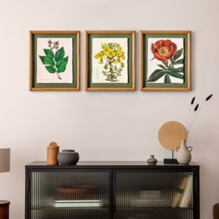 Framed Vintage Florals 3-Piece Set