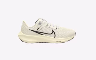 Nike Zoom Pegasus 40