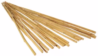 Hydrofarm Natural Bamboo Stakes - Pack of 25