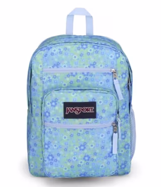 JanSport Laptop Backpack