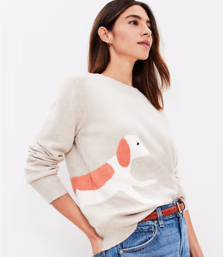 Dog Walk Sweater