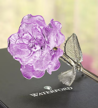 Glass Rose