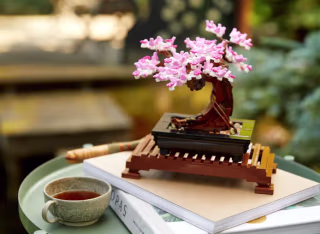 Bonsai Tree