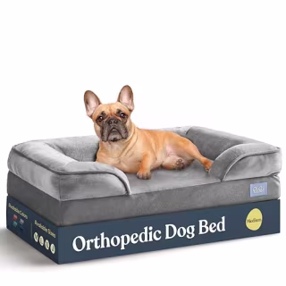 Pitpet Orthopedic Sofa Dog Bed