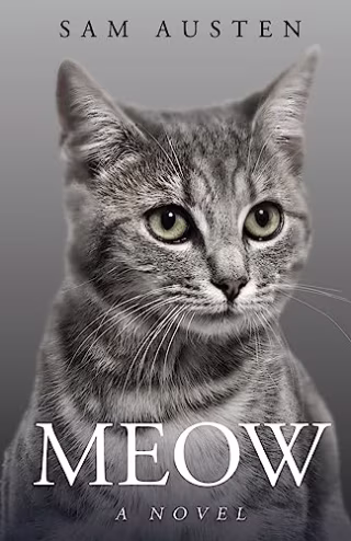 "Meow," by Sam Austen