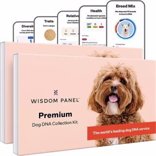 Basepaws Breed + Health Dog DNA Test 